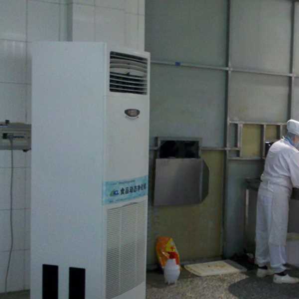 徐汇食品正负离子空气杀菌器